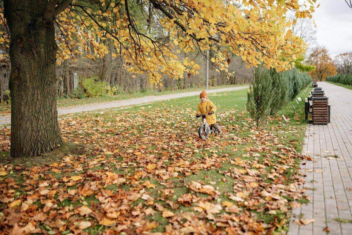 Family-Friendly Bike Trails in Durango