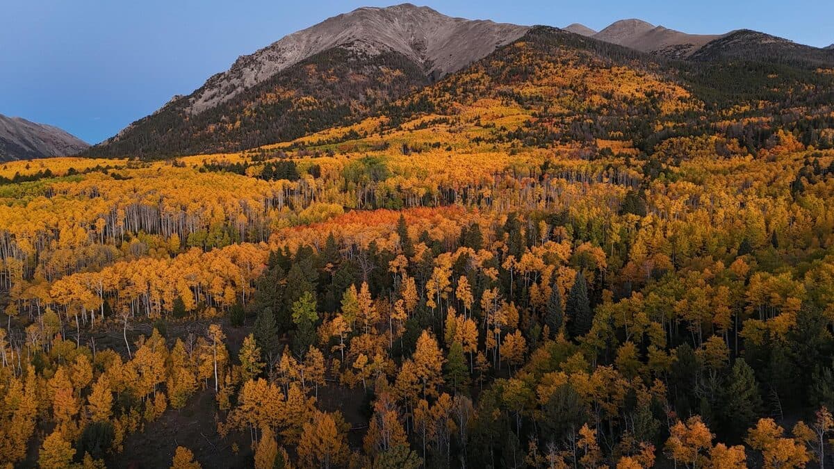 End of Summer in Durango: Squeezing Out Every Last Drop