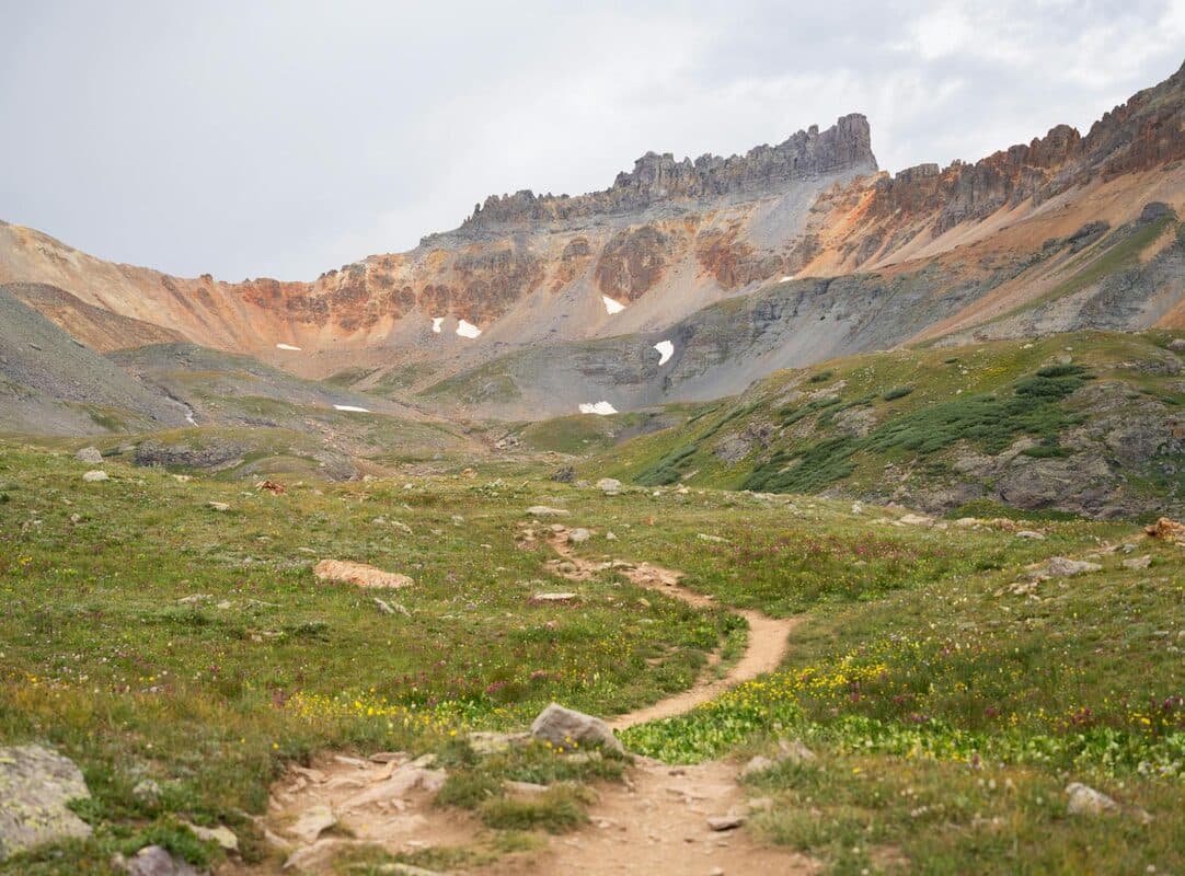 The Million Dollar Highway in Summer: Wildflowers, No Snow, and Five Must-Stop Spots